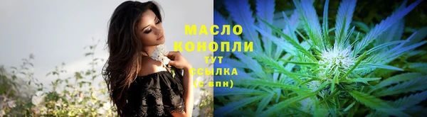 молекула духа Бронницы